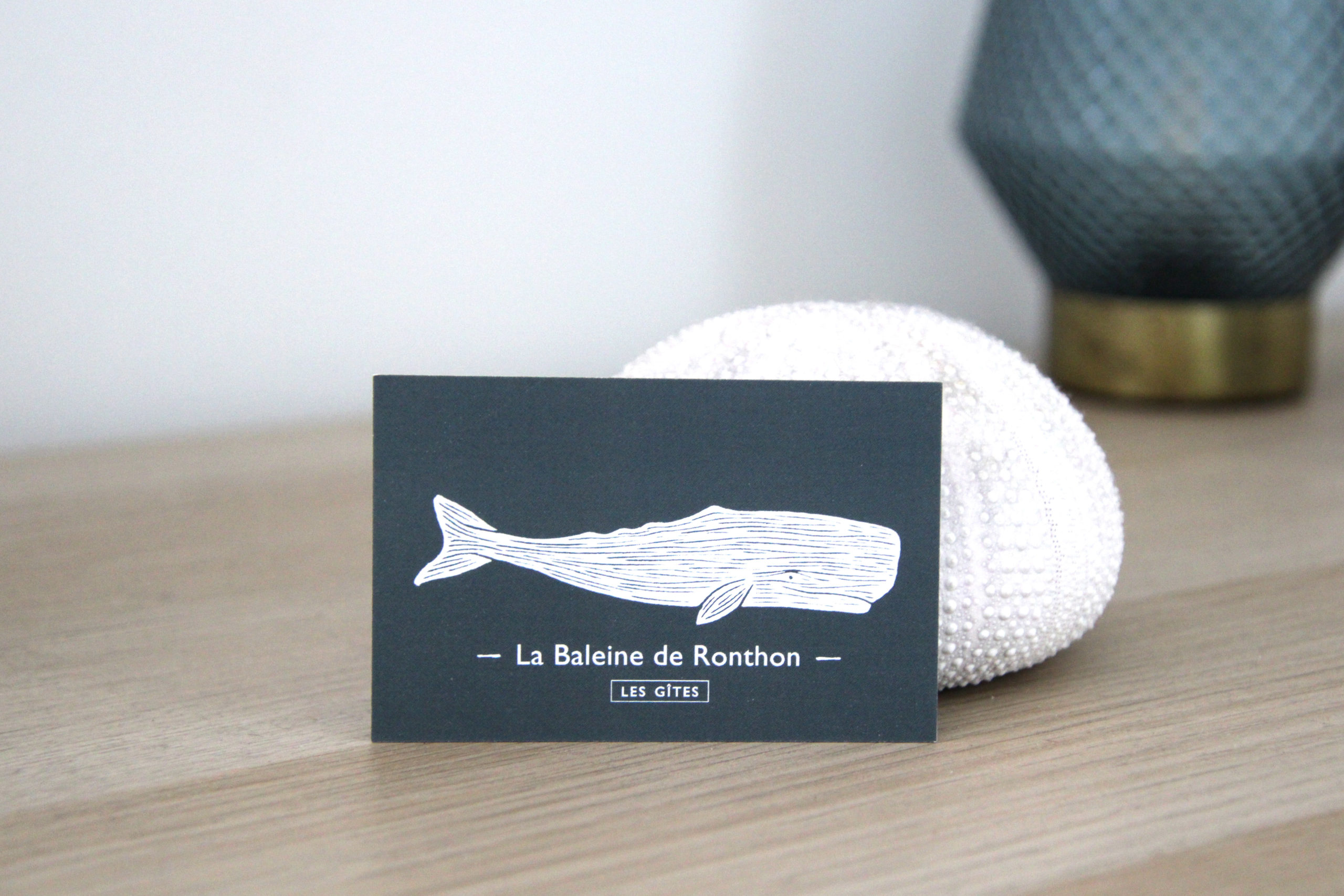 Identité graphique de La Baleine de Ronthon par Atelier Bruine