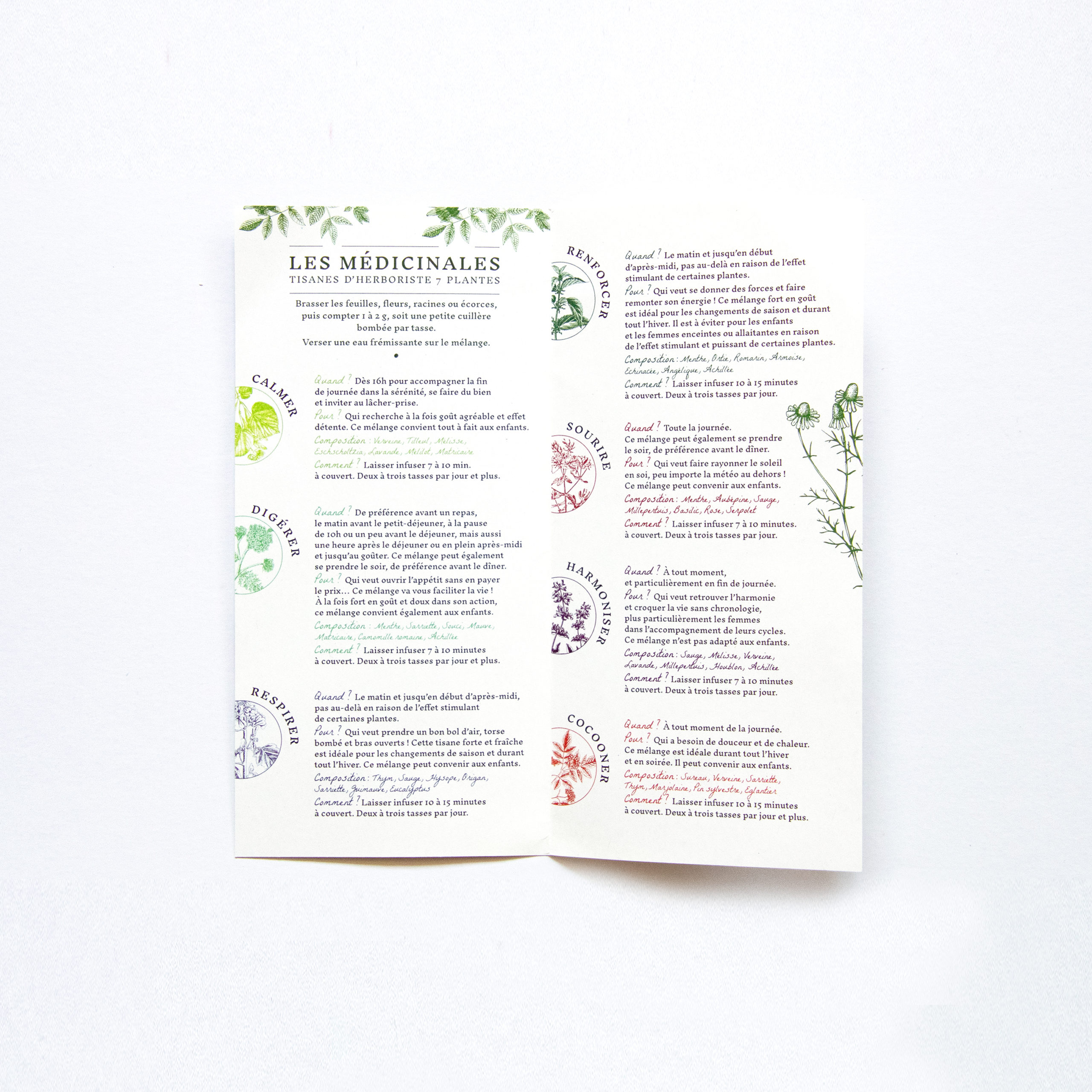 Plaquette de présentation de la gamme de tisanes des Plantes de Mathilde créée par Atelier Bruine
