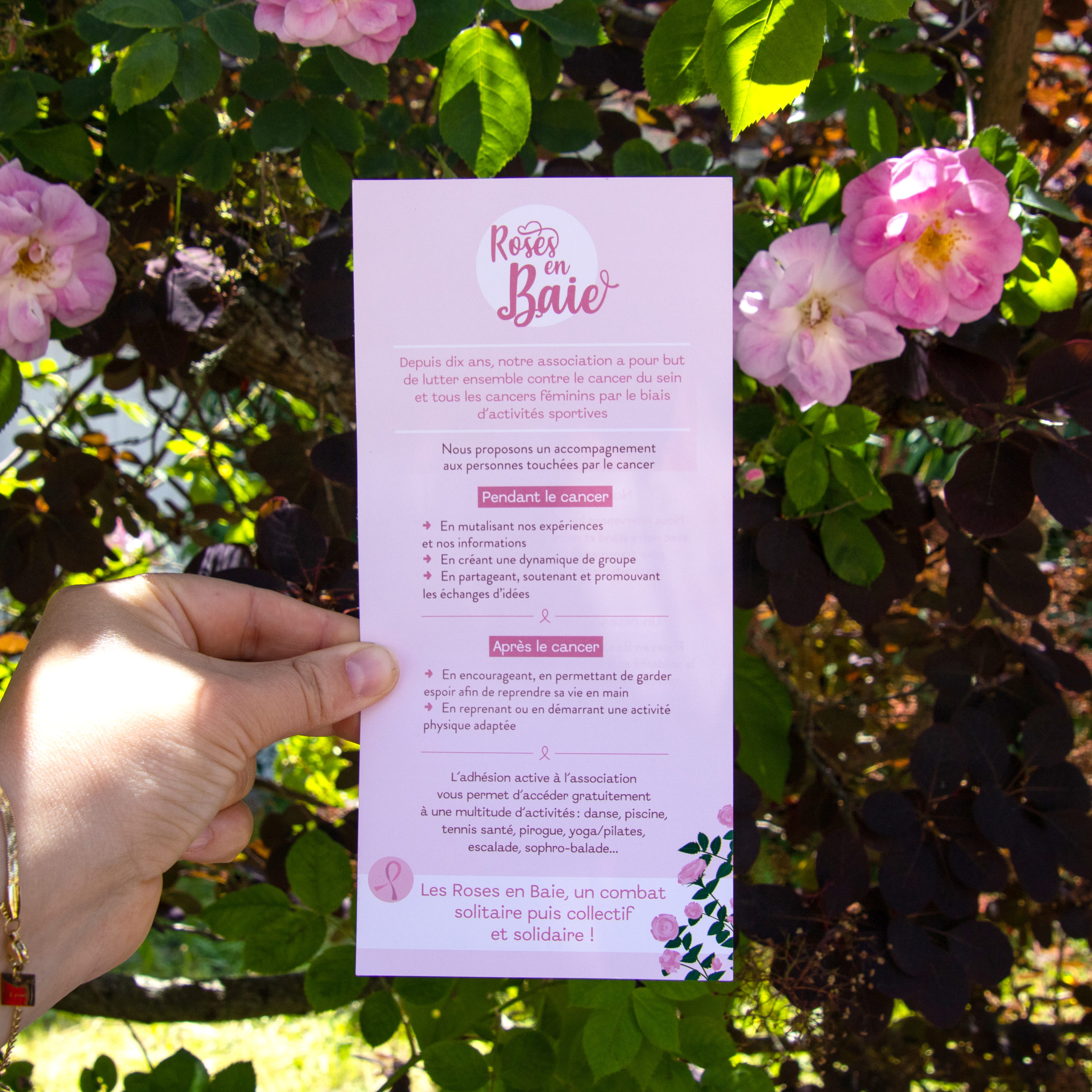 Flyer de présentation Roses en Baie réalisé par l'Atelier Bruine