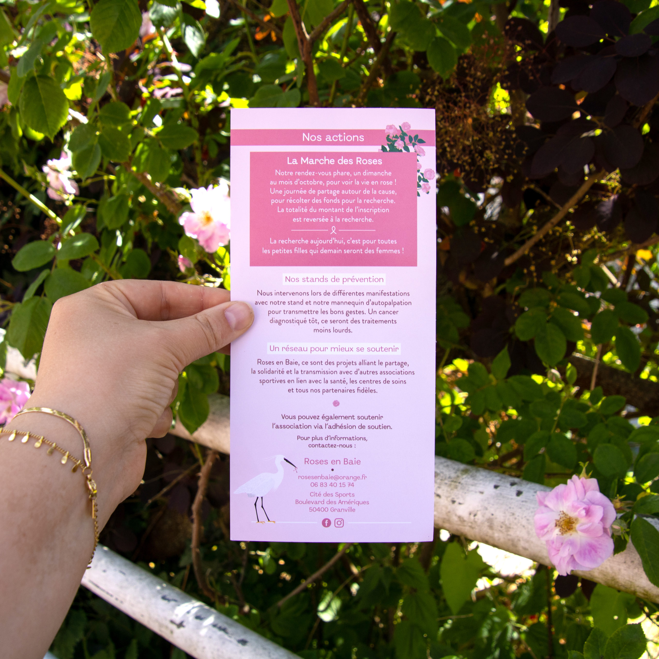 Flyer de présentation Roses en Baie réalisé par l'Atelier Bruine