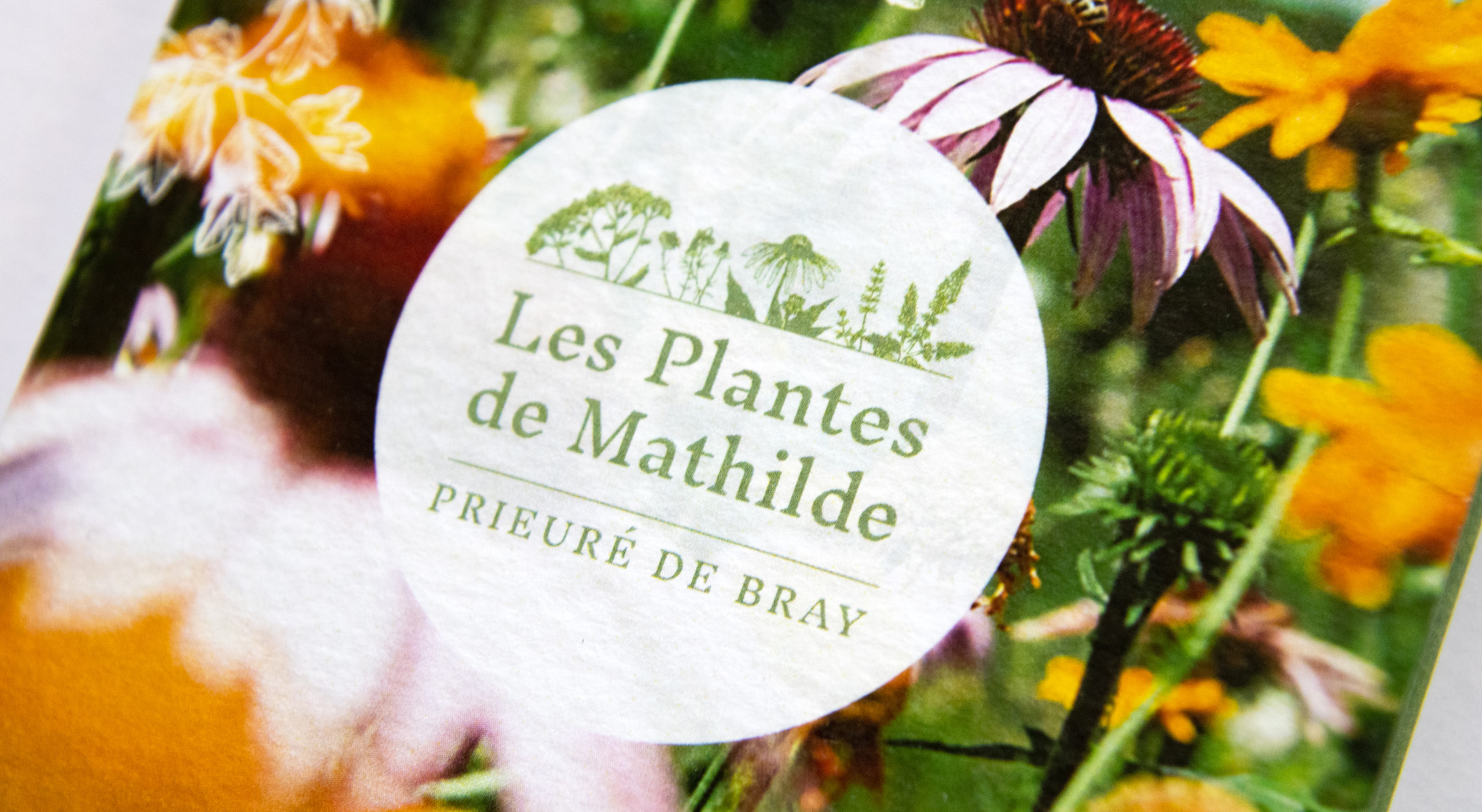 Identité graphique Les Plantes de Mathilde par Atelier Bruine